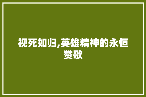 视死如归,英雄精神的永恒赞歌
