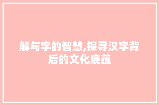 解与字的智慧,探寻汉字背后的文化底蕴