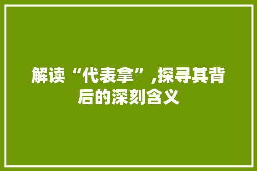 解读“代表拿”,探寻其背后的深刻含义 诗词应用
