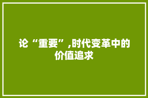 论“重要”,时代变革中的价值追求