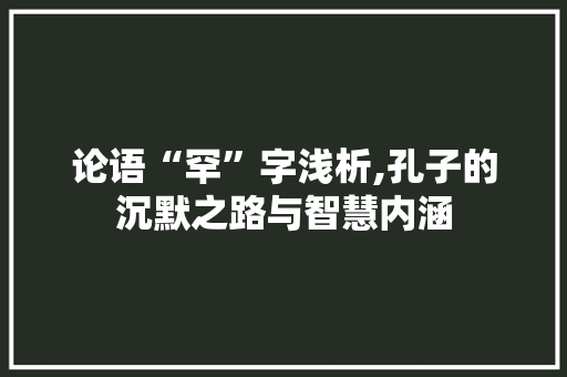 论语“罕”字浅析,孔子的沉默之路与智慧内涵 工作总结