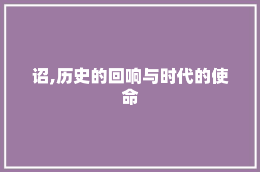 诏,历史的回响与时代的使命 诗词应用