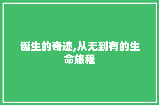 诞生的奇迹,从无到有的生命旅程