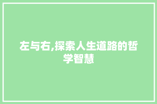 左与右,探索人生道路的哲学智慧