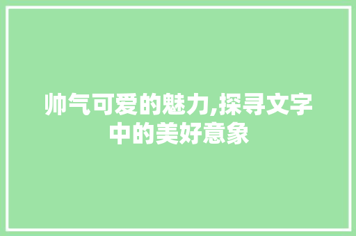 帅气可爱的魅力,探寻文字中的美好意象