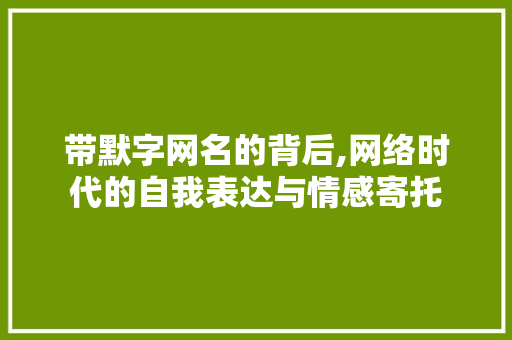 带默字网名的背后,网络时代的自我表达与情感寄托 项目报告