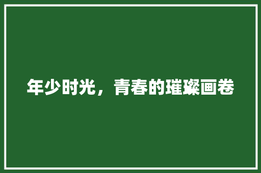 年少时光，青春的璀璨画卷