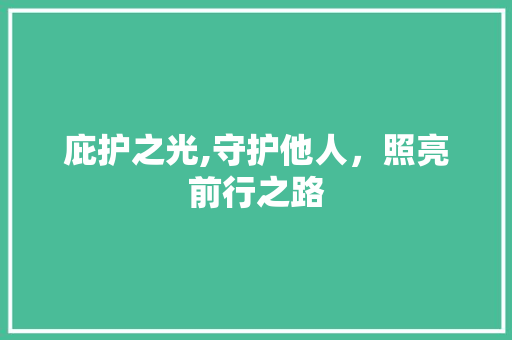 庇护之光,守护他人，照亮前行之路