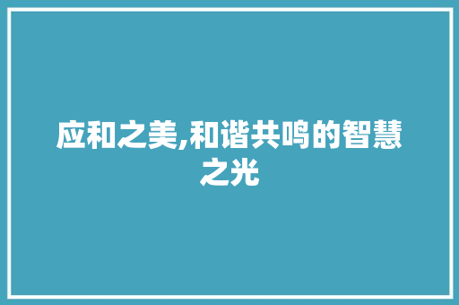 应和之美,和谐共鸣的智慧之光