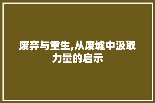 废弃与重生,从废墟中汲取力量的启示