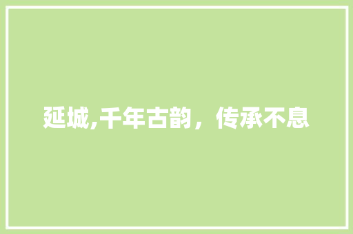 延城,千年古韵，传承不息