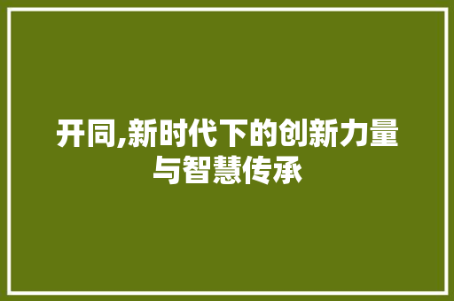 开同,新时代下的创新力量与智慧传承 应用文