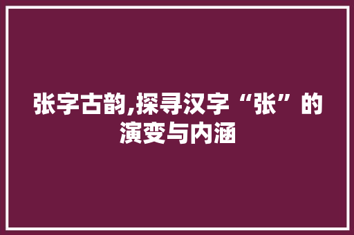 张字古韵,探寻汉字“张”的演变与内涵
