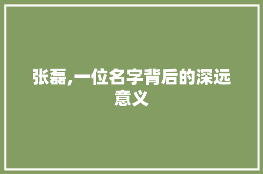 张磊,一位名字背后的深远意义