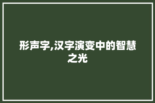形声字,汉字演变中的智慧之光