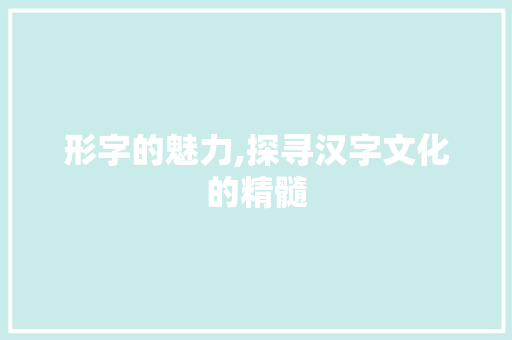 形字的魅力,探寻汉字文化的精髓