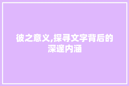 彼之意义,探寻文字背后的深邃内涵