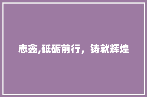 志鑫,砥砺前行，铸就辉煌