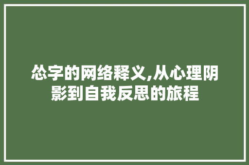怂字的网络释义,从心理阴影到自我反思的旅程 工作总结