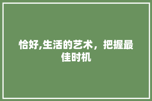 恰好,生活的艺术，把握最佳时机