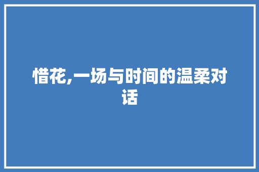 惜花,一场与时间的温柔对话 项目报告