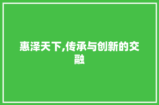 惠泽天下,传承与创新的交融