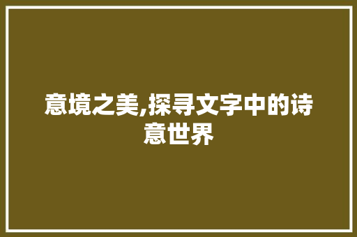 意境之美,探寻文字中的诗意世界