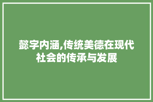 懿字内涵,传统美德在现代社会的传承与发展
