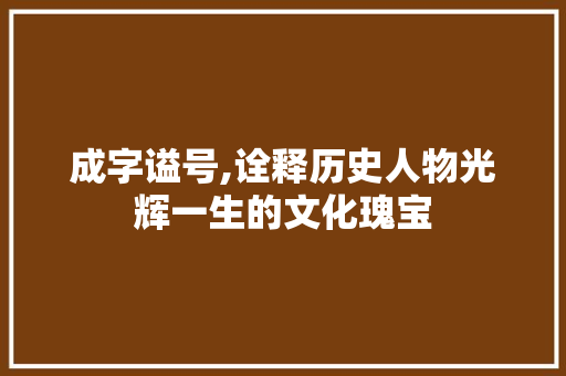 成字谥号,诠释历史人物光辉一生的文化瑰宝