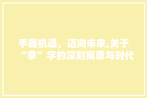 手握机遇，迈向未来,关于“拿”字的深刻寓意与时代启示