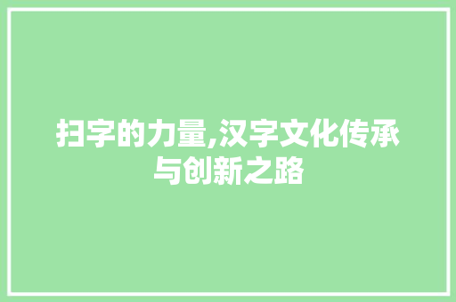 扫字的力量,汉字文化传承与创新之路
