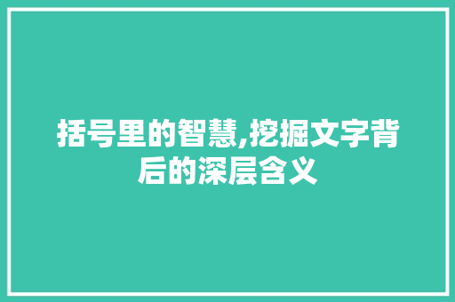 括号里的智慧,挖掘文字背后的深层含义 诗词鉴赏