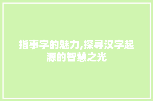 指事字的魅力,探寻汉字起源的智慧之光