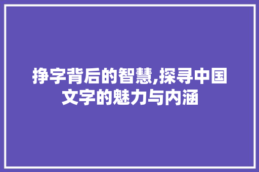 挣字背后的智慧,探寻中国文字的魅力与内涵