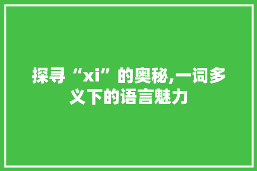 探寻“xi”的奥秘,一词多义下的语言魅力