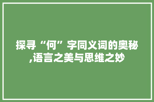 探寻“何”字同义词的奥秘,语言之美与思维之妙