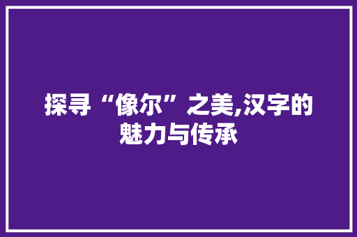 探寻“像尔”之美,汉字的魅力与传承