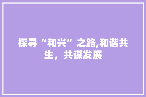 探寻“和兴”之路,和谐共生，共谋发展