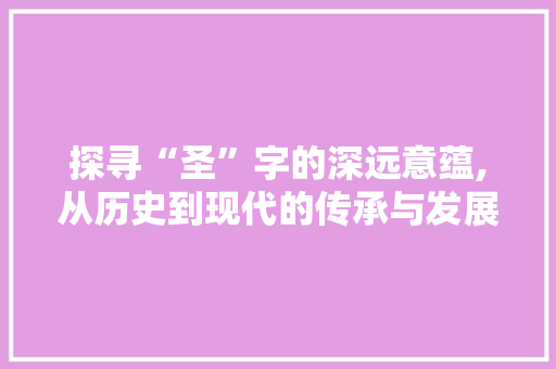 探寻“圣”字的深远意蕴,从历史到现代的传承与发展 项目报告