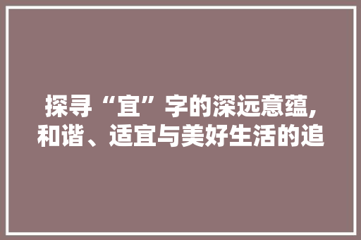 探寻“宜”字的深远意蕴,和谐、适宜与美好生活的追求