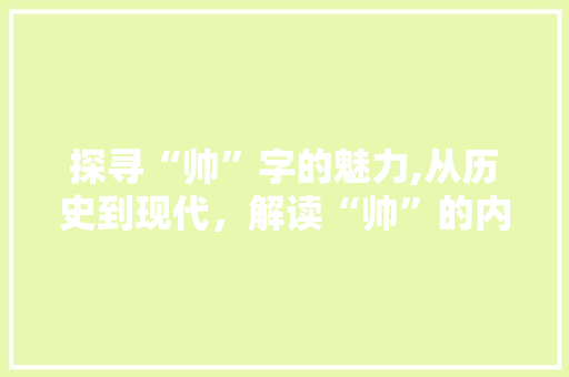 探寻“帅”字的魅力,从历史到现代，解读“帅”的内涵与演变