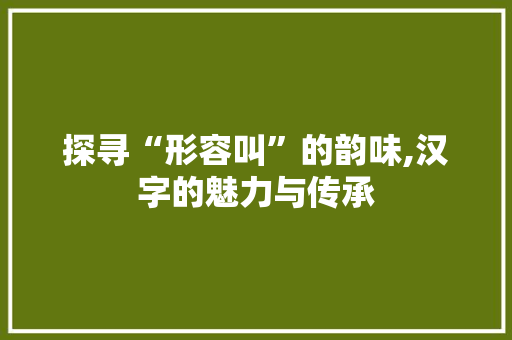 探寻“形容叫”的韵味,汉字的魅力与传承