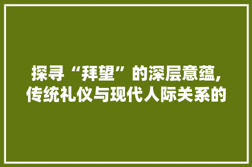 探寻“拜望”的深层意蕴,传统礼仪与现代人际关系的交织