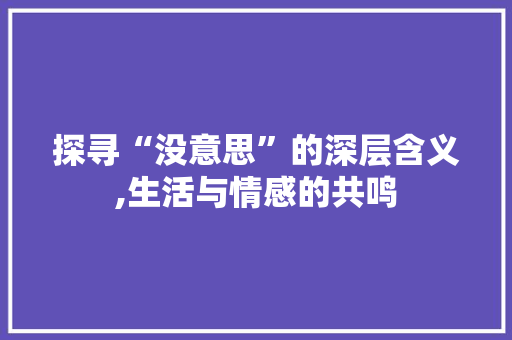 探寻“没意思”的深层含义,生活与情感的共鸣