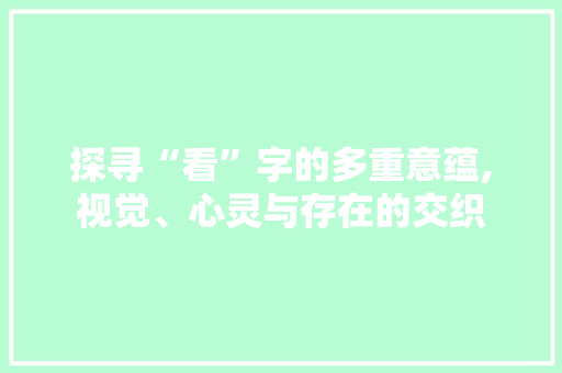 探寻“看”字的多重意蕴,视觉、心灵与存在的交织