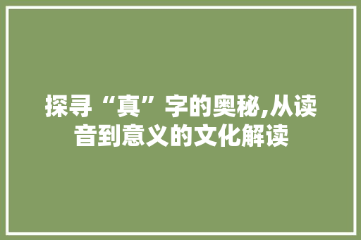 探寻“真”字的奥秘,从读音到意义的文化解读