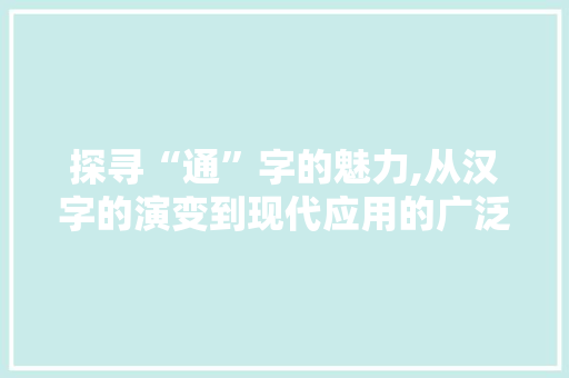 探寻“通”字的魅力,从汉字的演变到现代应用的广泛