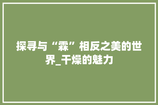 探寻与“霖”相反之美的世界_干燥的魅力 会议纪要