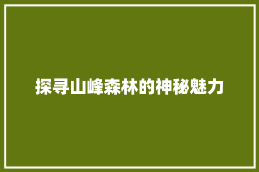 探寻山峰森林的神秘魅力