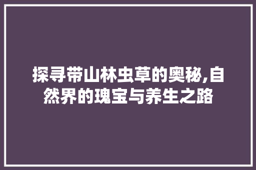 探寻带山林虫草的奥秘,自然界的瑰宝与养生之路
